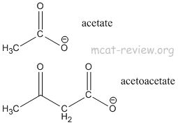 acetate vs acetoacetate