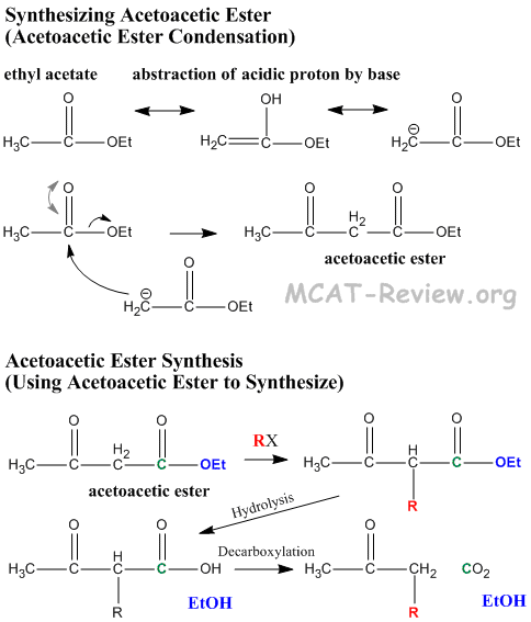 acetoacetic ester synthesis