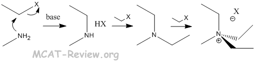 alkylation of amines