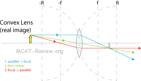 Ray Diagram Convex