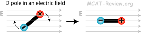 dipole in an electric field