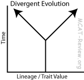 divergent evolution