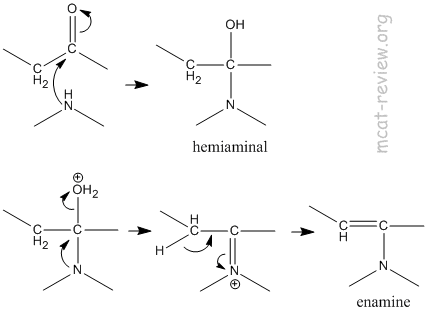 enamine mechanism