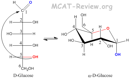 How Many Asymmetric Carbons Are There In The Sugar Glucose