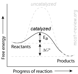 catalyzed reaction