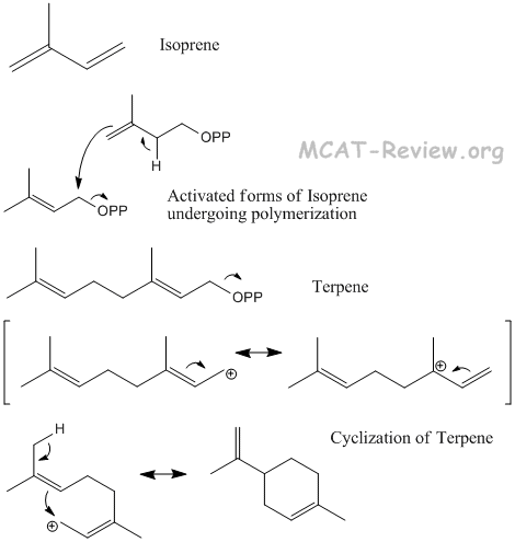 Icyplex steroid